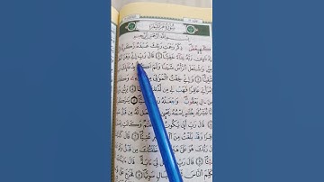 قراءة ماتعة لما تيسر من سورة مريم#قران_كريم #quran #راحة_نفسية #صلوا_على_رسول_الله