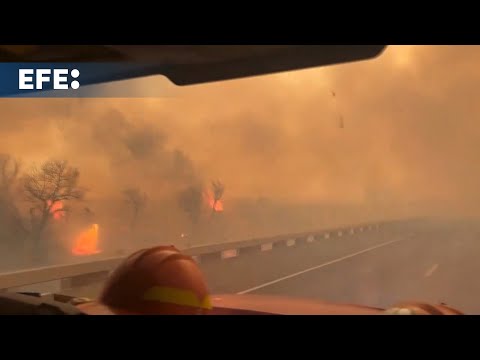 Incendios forestales han devastado más de 200.000 hectáreas en Texas