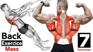 How To Build Your Back Workout (7 Effective Exercises) - تمارين الظهر