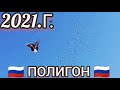 "" ГОЛУБИ - ПОЛИГОН "" САМОСТОЯТЕЛЬНЫЕ ПОЛЁТЫ "" П.САНДАТА. РОСТОВСКАЯ ОБЛ. 1.03.2021.г.