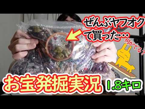 大量 アクセサリー 11kg ジャンク 1.8kg Junk Jewelry Unboxing — What Will We Find?! (Yahoo Auctions