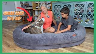 Human Size Dog Bed Review: Is It Worth It for Families?