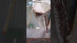 Grinding Raw Himalayan Salt at a Salt Factory #shorts #shortvideo