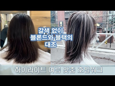 하이라이트 염색 호일워크 하는방법 보색샴푸에 염모제 추가