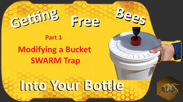Bottle To Bottle Beekeeping |  FREE Bees  |  Construction