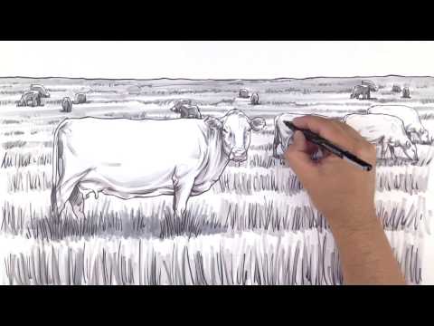 An Inside Look at Rumen Microbes in Cows