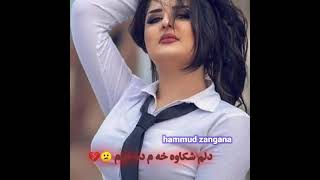 خوشترين گوراني كمال كولجين 2021 زور شاز ️ ئشقانه