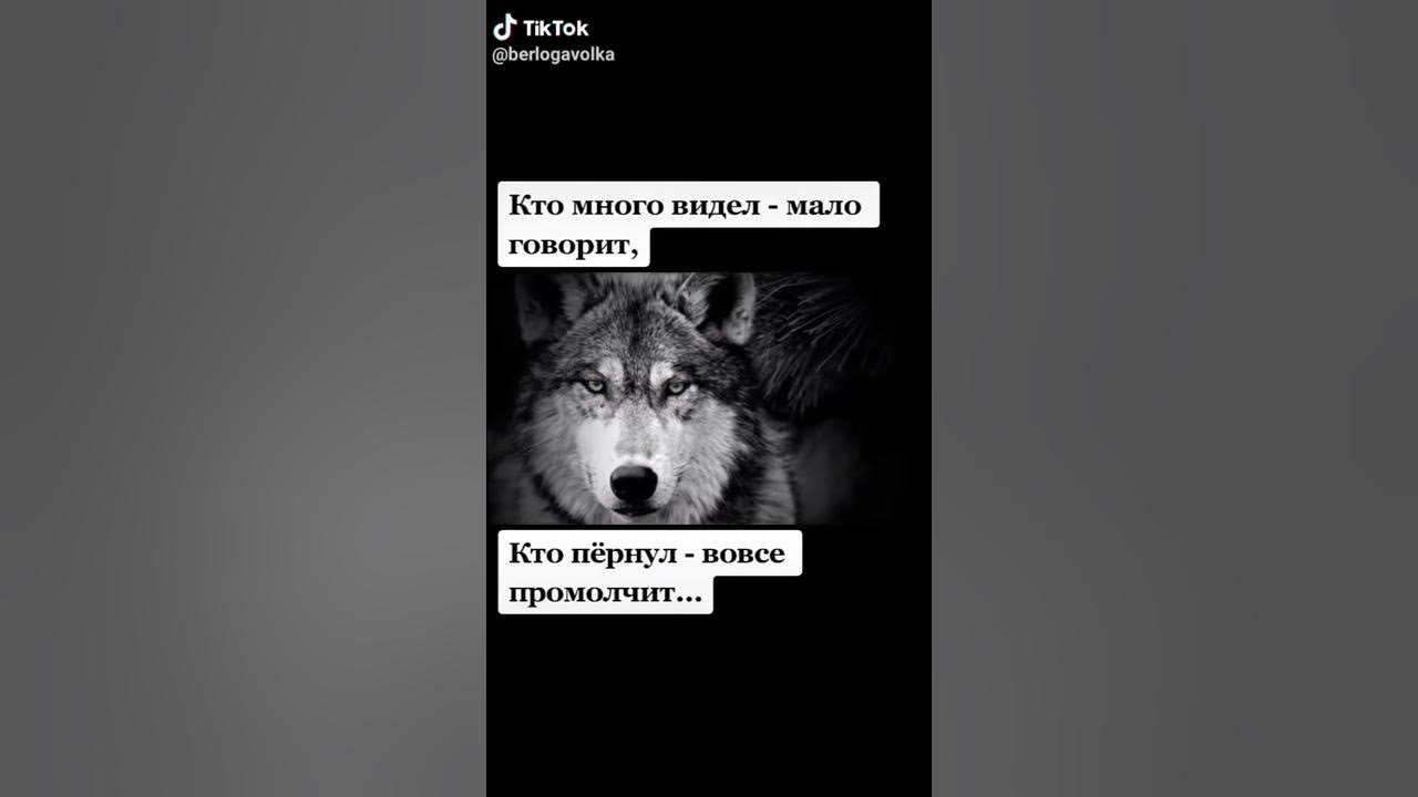 Конец россии хотя увидеть многие. Кто мало видел много. Кто много видел мало говорит. Кто много видел мало говорит кто пернул вовсе промолчит. Много сказанного много увиденного.