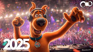 Top EDM Music Mix 2025 🎧 Bass Boosted & Future Bass Tracks 🎧 Popular Song Remixes