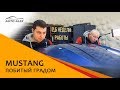 Mustang побитый градом - СТО Auto Alex - восстановление кузова авто после града