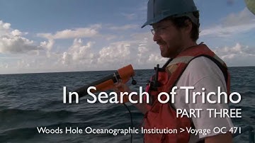 Part THREE - In Search of Tricho - Woods Hole Oceanographic Institution