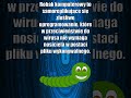 Czym jest robak komputerowy? #robak #robakkomputerowy #itwdefinicjach #technologia #informatyka