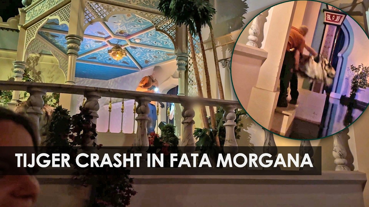 Ongelukje bij tijger in Efteling-attractie Fata Morgana
