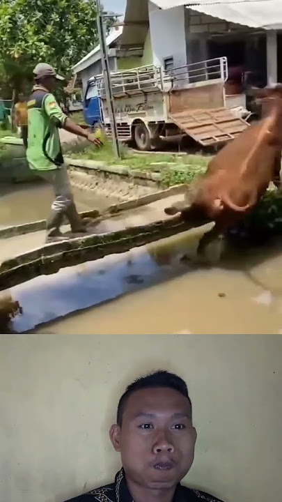tahan tawa part 3 video lucu🤣🤣😂