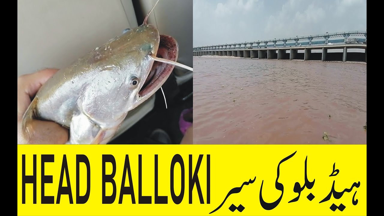 HEAD BALLOKI full visit head balloki Ravi River