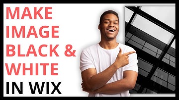 How to Make an Image Black and White in Wix [QUICK GUIDE]