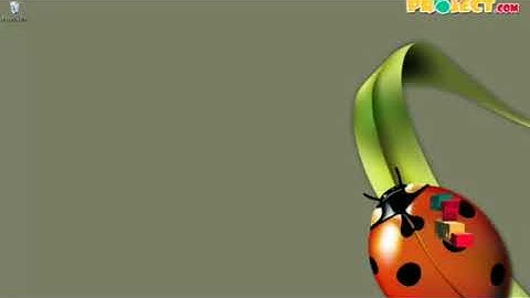 Internet Traffic Classification with Naive Bayes and Feature Selection