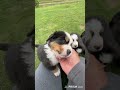 おっちゃんの日常