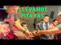 Llegando con Pitayas para la Familia, Así las recibieron !!