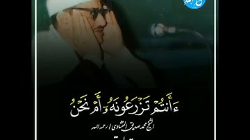 أفرءيتم ما تحرثون ءأنتم تزرعونه ام نحن الزارعون | محمد صديق المنشاوي سورة الواقعة