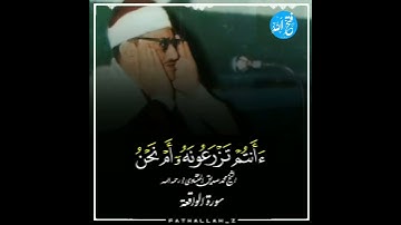 أفرءيتم ما تحرثون ءأنتم تزرعونه ام نحن الزارعون | محمد صديق المنشاوي سورة الواقعة