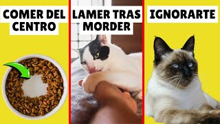 10 EXTRAÑOS comportamientos de los gatos EXPLICADOS