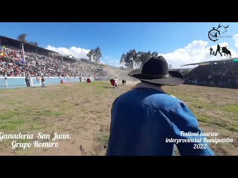 Parte #1 Toros de pueblo XV festival interprovincial taurino  de la Cruz Rumipamba 2022