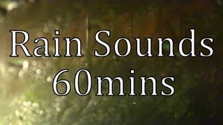 "Rain on a Window" 60mins "Sleep Sounds" w/o music