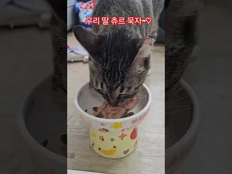 우리 딸 #햇살 #퇴근 #부산강서구 #구독 #좋아요 #감사합니다