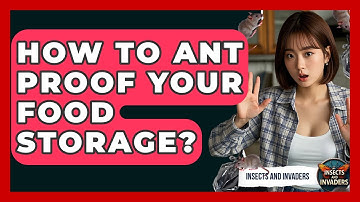 How To Ant Proof Your Food Storage? - Insects and Invaders