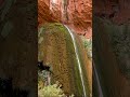 Ribbon Falls, Grand Canyon, Arizona