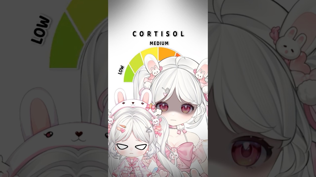 保持低皮質醇(˶˃ ᵕ ˂˶)⸝♡ #馬來西亞vtuber | MYViki