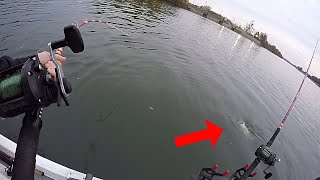 Catching Catfish on BRIDGE PILINGS in LOW CURRENT (Ft. Reel Beasts) 
