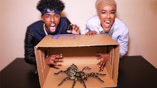 WHAT'S IN THE BOX CHALLENGE WITH MY SISTER!  (LIVE ANIMALS)