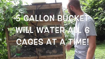 Bucket waterer install for Coturnix quail cages; Poultry waterer for quail