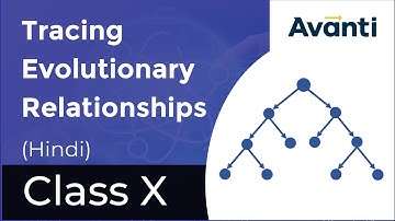 Tracing Evolutionary Relationships | Heredity and Evolution | Avanti Gurukul