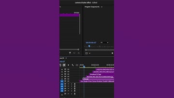 Camera Shutter Effect in Premiere Pro
