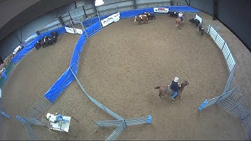 Big Sky Ranch Sorting Saddle Series #6 - #8 HC Ranch Hand - Round #1 - Ride #12