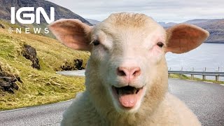 360-Degree Sheep View is a Google Street View Alternative in Faroe Islands - IGN News