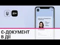 Українцям замість загубленого паспорта можна використати документ у "Дії"