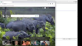 Reusing of selenium opened browser session