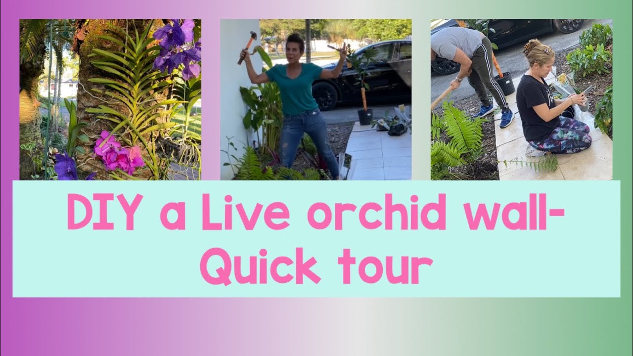Let's make a Live Orchid Wall project with the family - YouTube