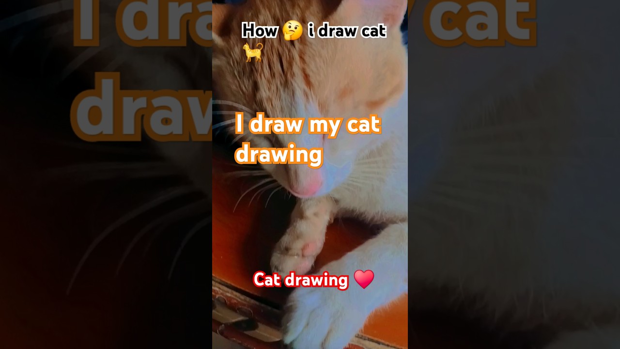 I draw realistic cat drawing 