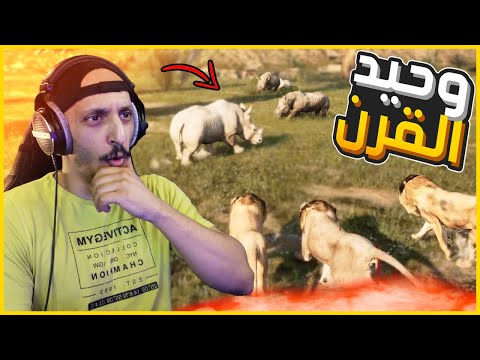 انميليا سيرفايفل 3 معركة طاحنة بين زمرة الأسود وقطيع وحيد القرن  