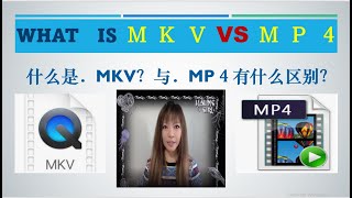 什么是．MKV？与．MP４有什么区别　（中文版解说）