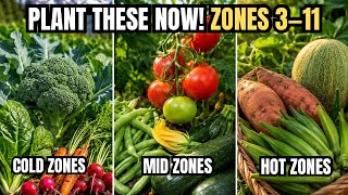 What to plant in June in Every USDA Zone ( Zones 3-11)