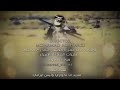 نشيد احوازي جديد 2022 انا احوازي وليس ايراني انا احوازي و موش ايراني نشيد احوازي جديد 2022 انا احوازي وليس ايراني انا احوازي و موش ايراني