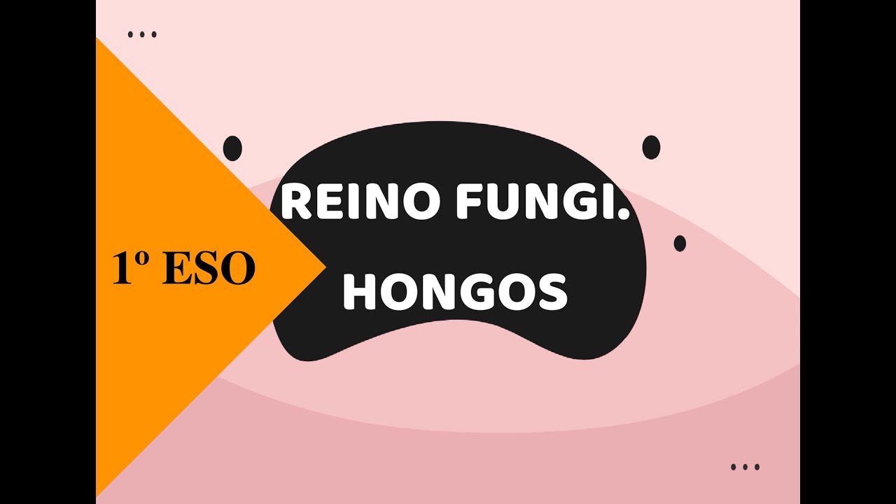 LOS HONGOS REINO FUNGI 1º ESO