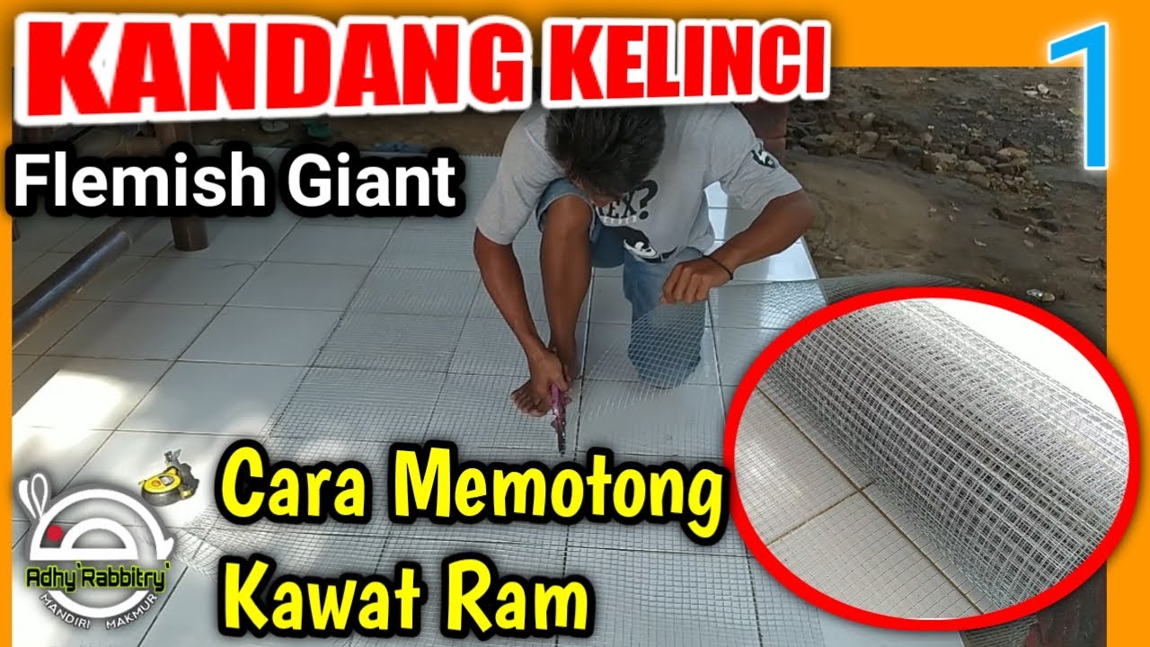 Cara memotong kawat ram untuk kandang kelinci Flemish Giant no. 1 