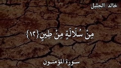خالد الجليل سورة المؤمنون وَلَقَدْ خَلَقْنَا الْإِنْسَانَ مِنْ سُلَالَةٍ مِنْ طِينٍ